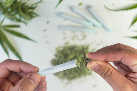 ¿Cuál es el mejor CBD para Fumar? Guía práctica