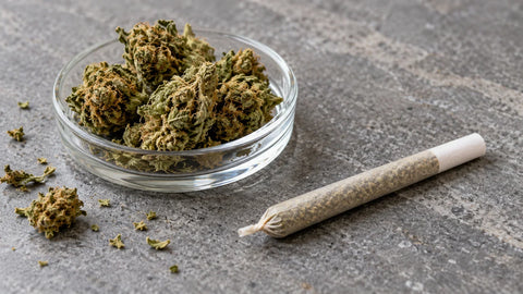 ¿Fumar CBD es malo? Riesgos reales y mitos