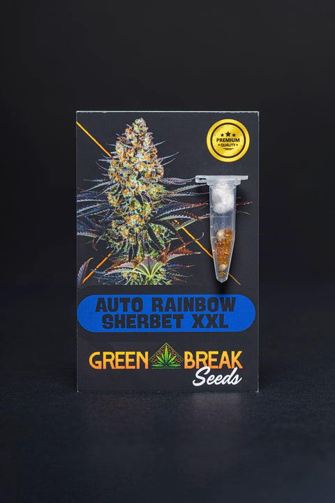 Auto Rainbow Sherbet XXL pack 3 (THC)