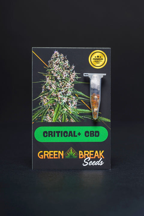Critical + pack 3 (CBD)