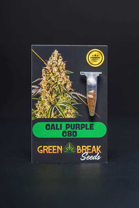 Cali Purple pack 3 (CBD)